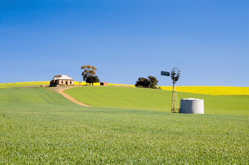 Farm with small house and bright blue sky